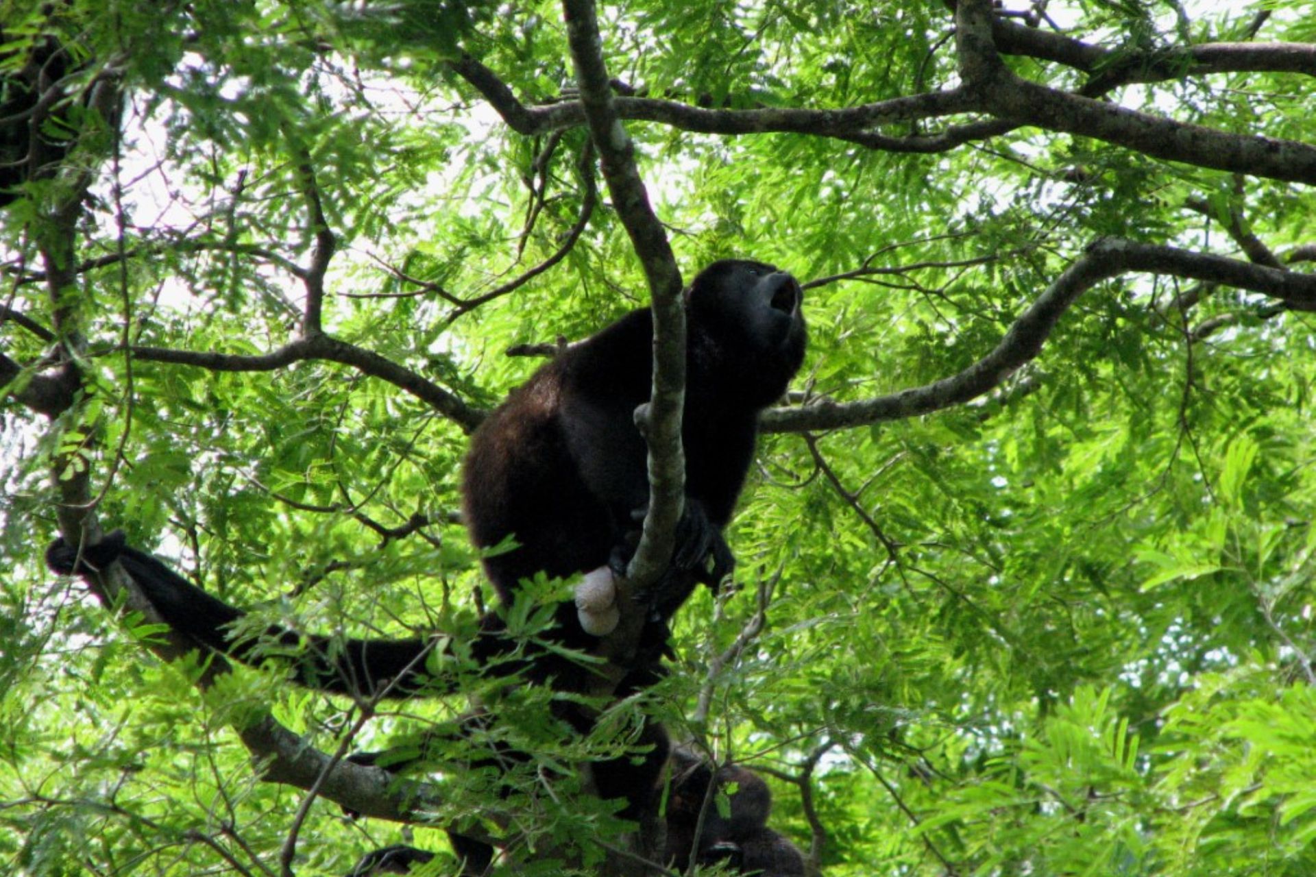 Palo Verde National Park Wildlife Boat Tour with Lunch