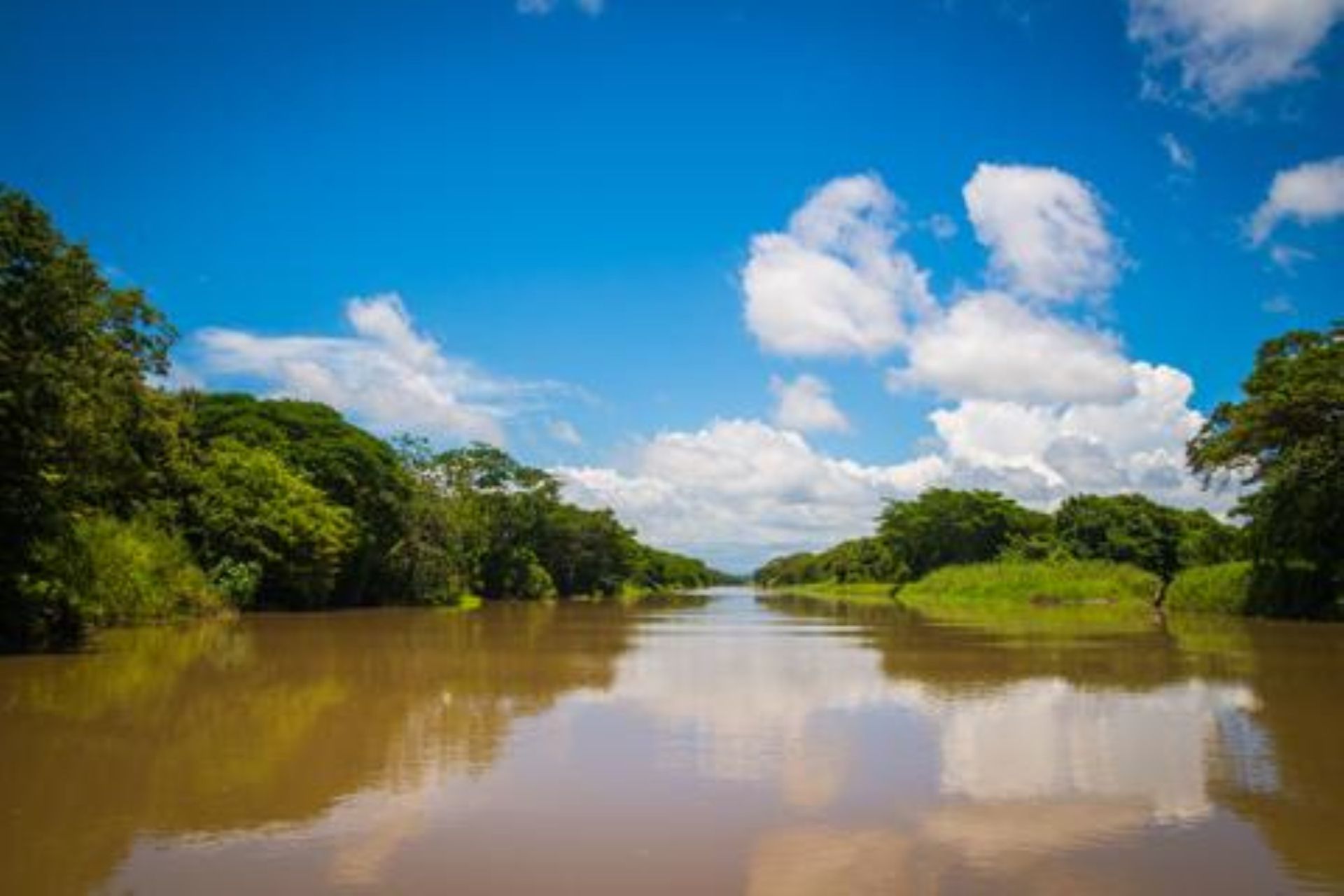 Palo Verde National Park Wildlife Boat Tour with Lunch