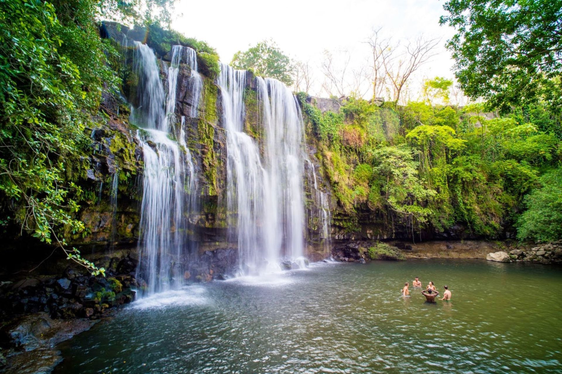 Sloth Encounter, Frogs, Monkeys + Llanos del Cortés Waterfall Tour with Lunch