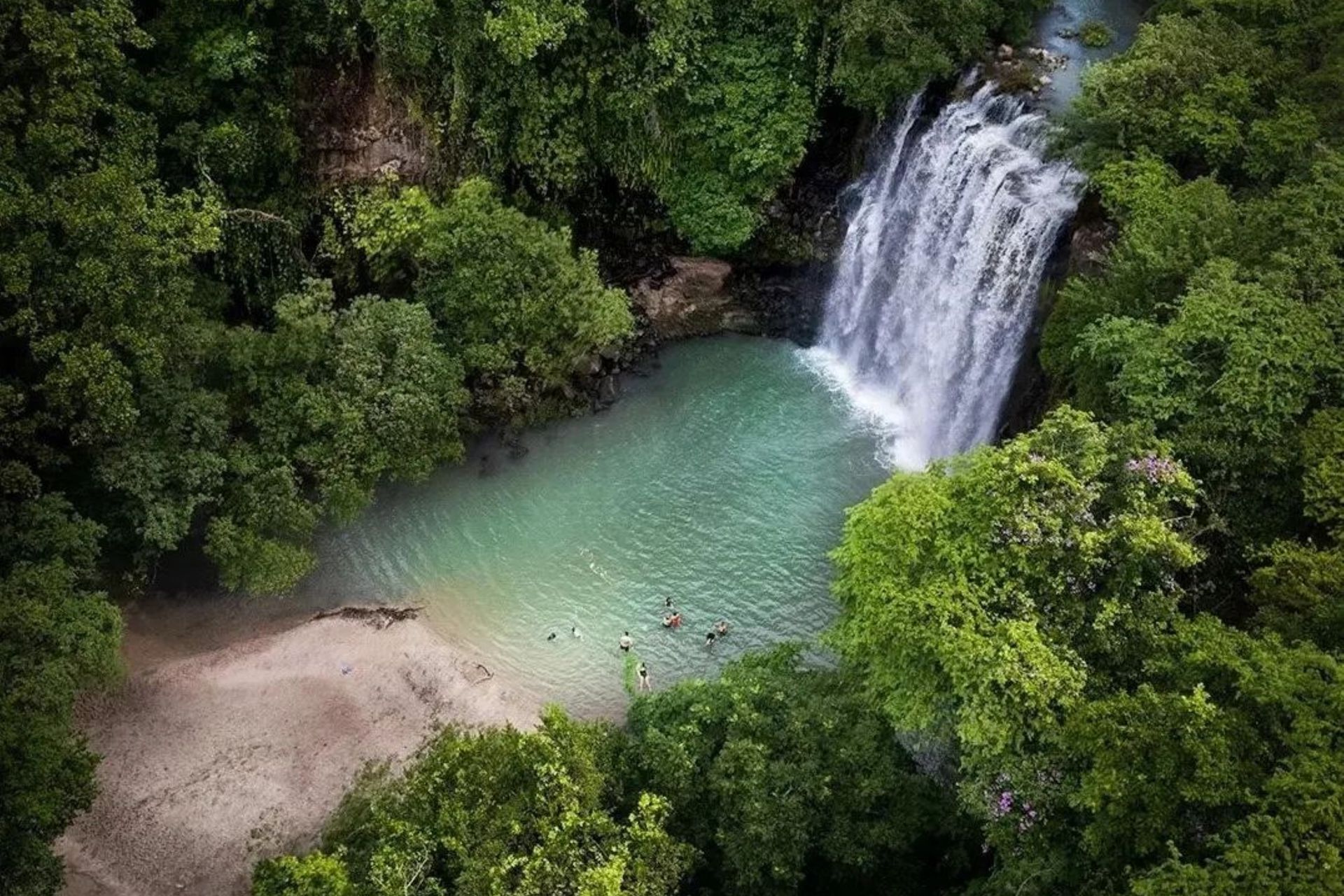 Sloth Encounter, Frogs, Monkeys + Llanos del Cortés Waterfall Tour with Lunch