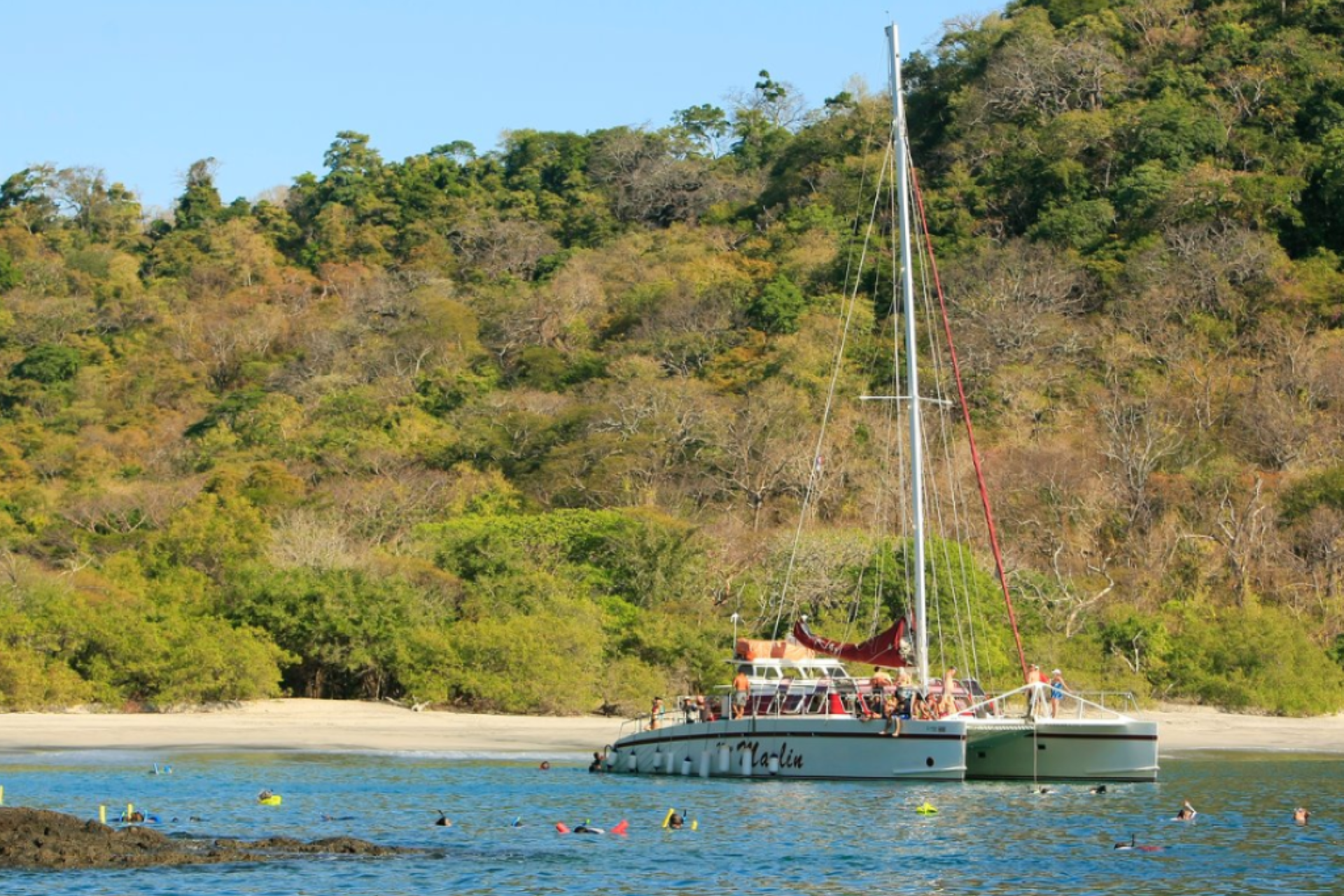 Catamaran Sail and Snorkeling AM