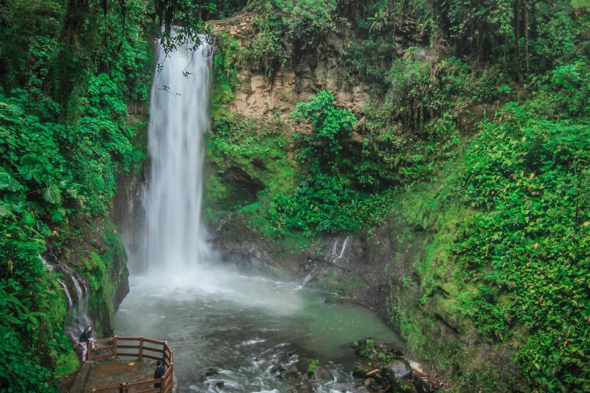 Combo Tour: Doka Coffee Estate, Poás Volcano & La Paz Waterfall